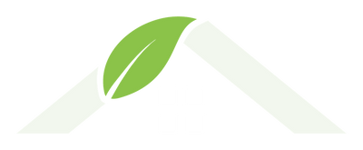 NeueEnergie24 Logo