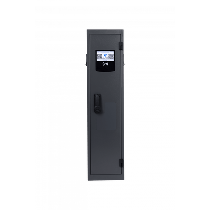 Twin 5 Plus CAM, 20A, RFID, E - FLUX, LB standard, Direct Payment - NeueEnergie24